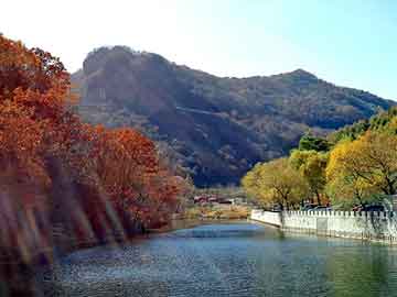 管家婆免费正版资起大全，液氯